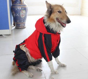 Premium Outdoor Raincoat for Large Dogs
