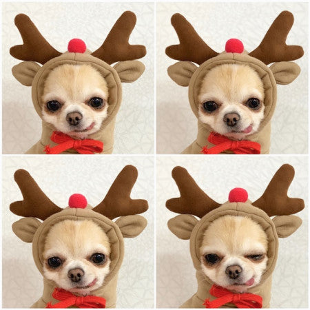 Hoodies Winter Warm Fleece Pet Clothing