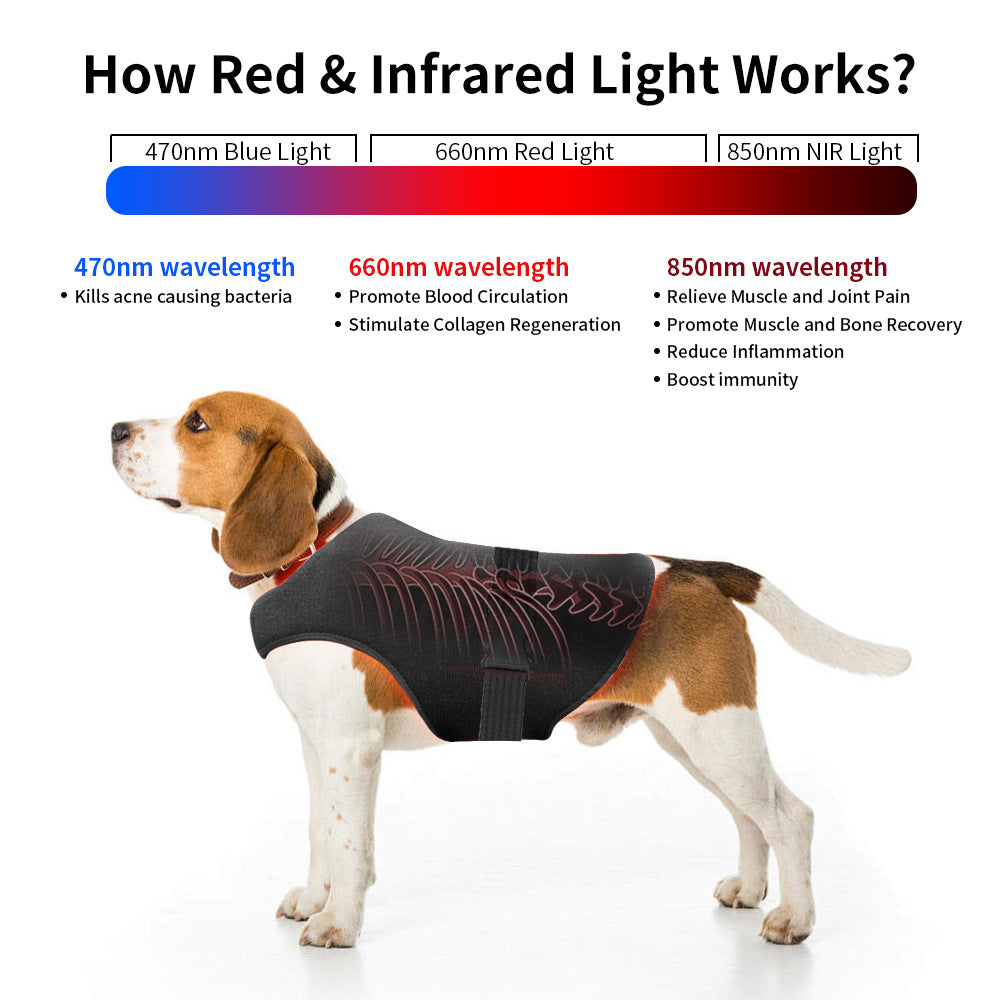 Portable LED Pet Therapy Belt