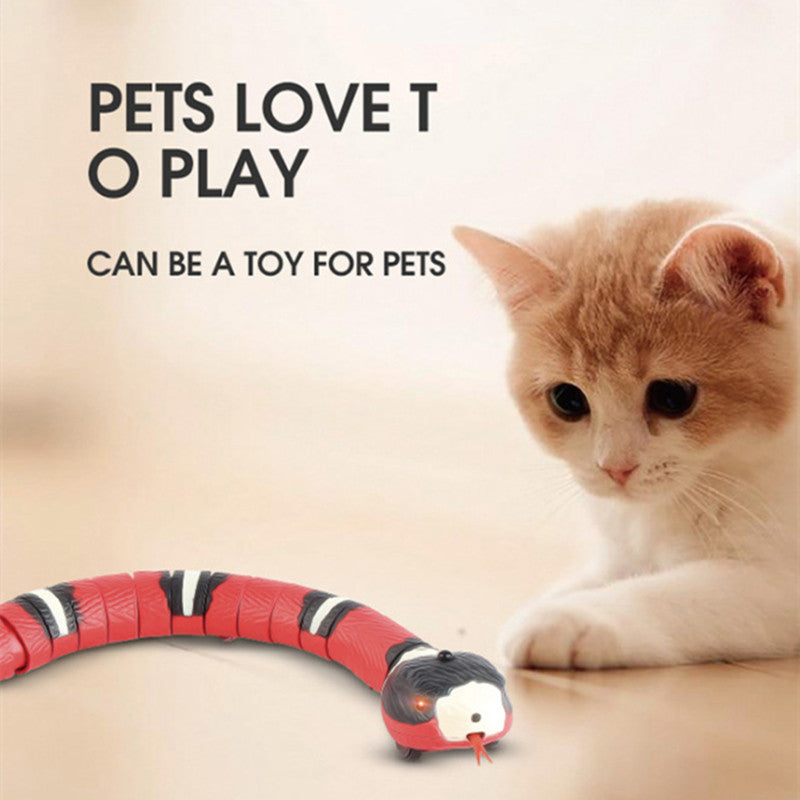 Interactive Electric Induction Snake / Funny Cat Toy