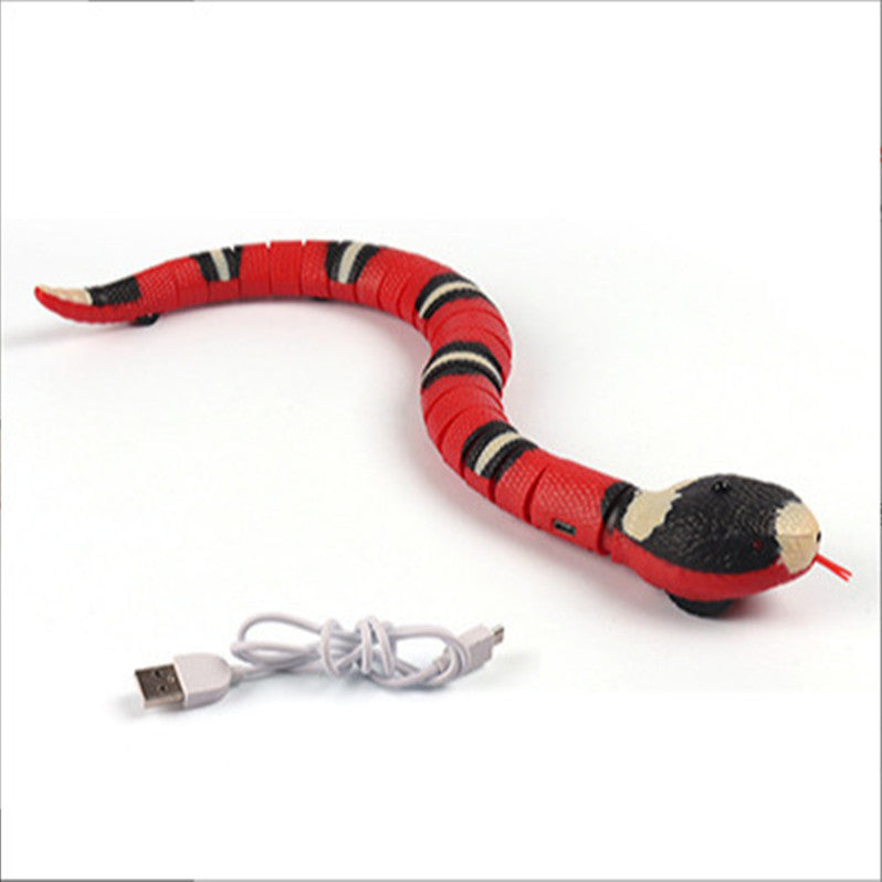 Interactive Electric Induction Snake / Funny Cat Toy