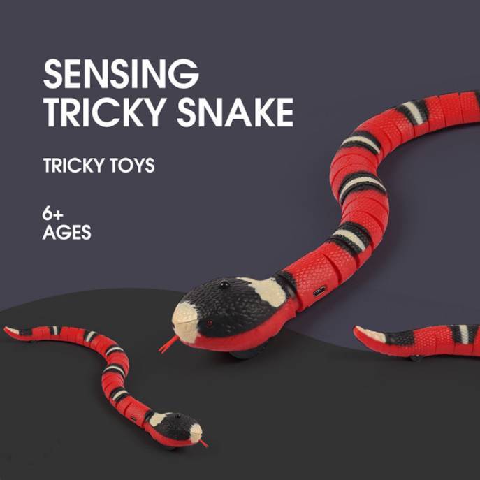 Interactive Electric Induction Snake / Funny Cat Toy