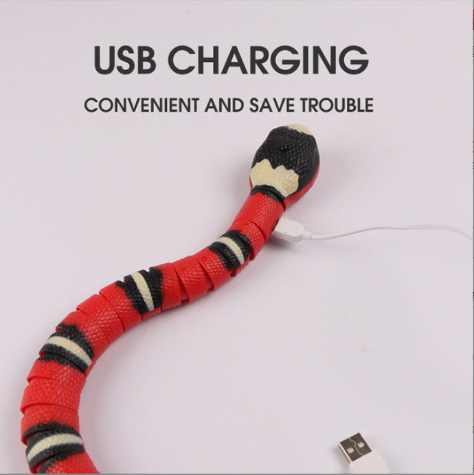 Interactive Electric Induction Snake / Funny Cat Toy