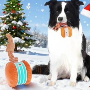 Pet Toys