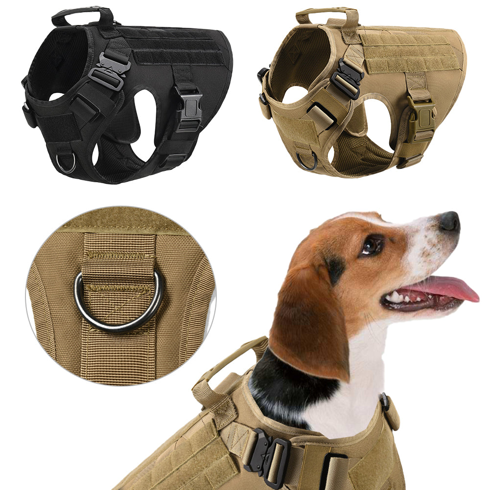 Premium Outdoor Pet Collection