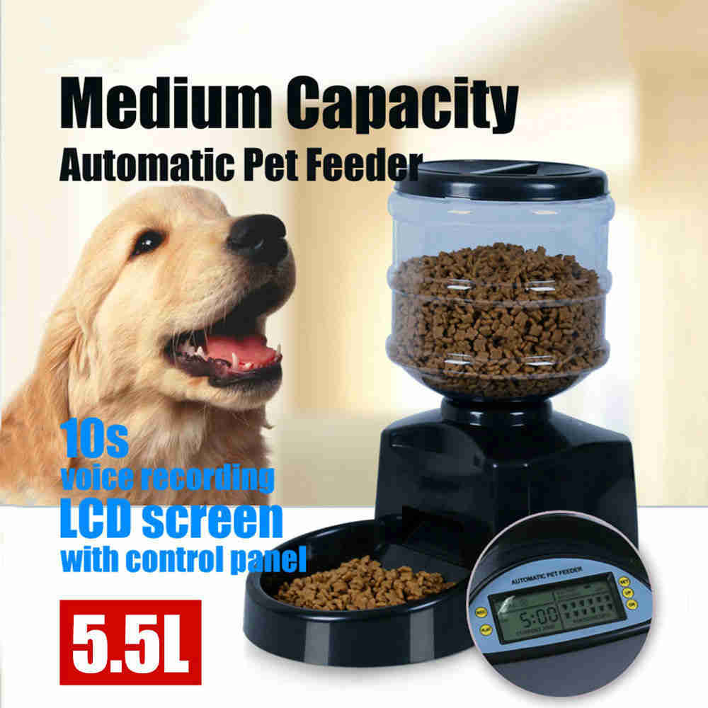 Pet Accessories Indoor