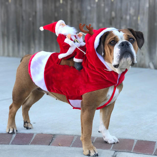Dog Christmas Clothes / Santa Claus Riding Deer