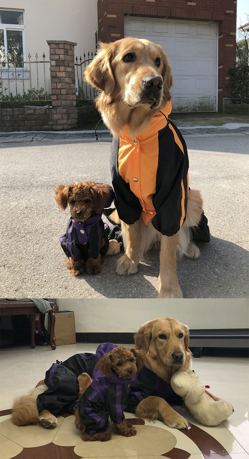 Premium Outdoor Raincoat for Large Dogs
