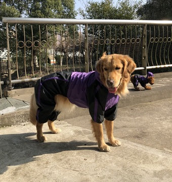 Premium Outdoor Raincoat for Large Dogs