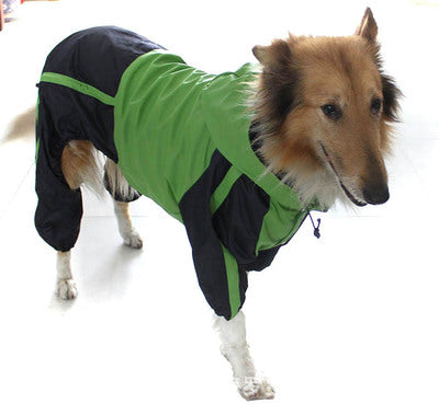 Premium Outdoor Raincoat for Large Dogs