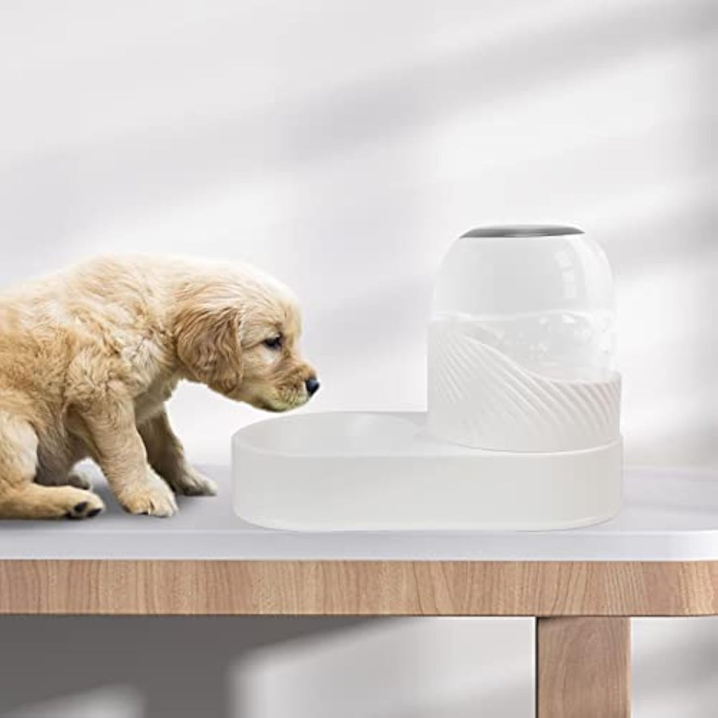 Cat Feeder And Water Dispenser