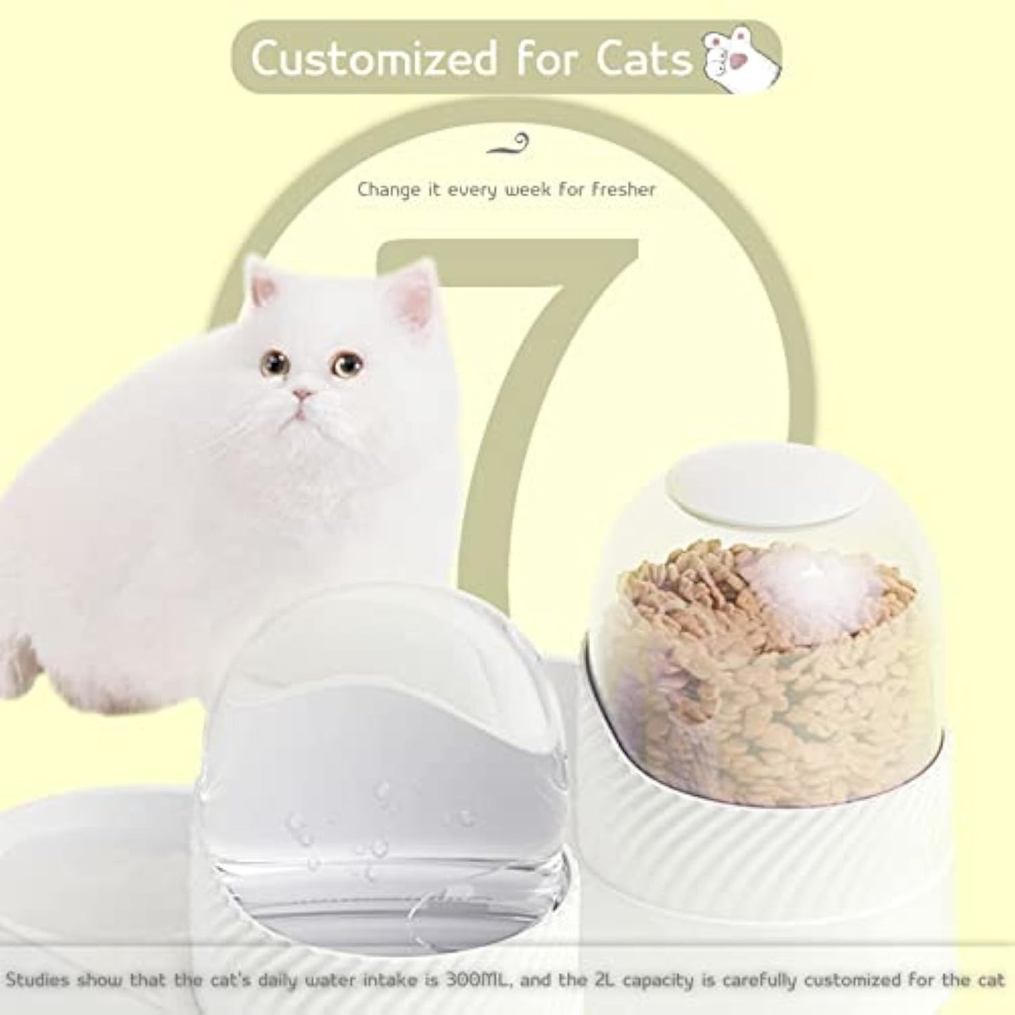 Cat Feeder And Water Dispenser