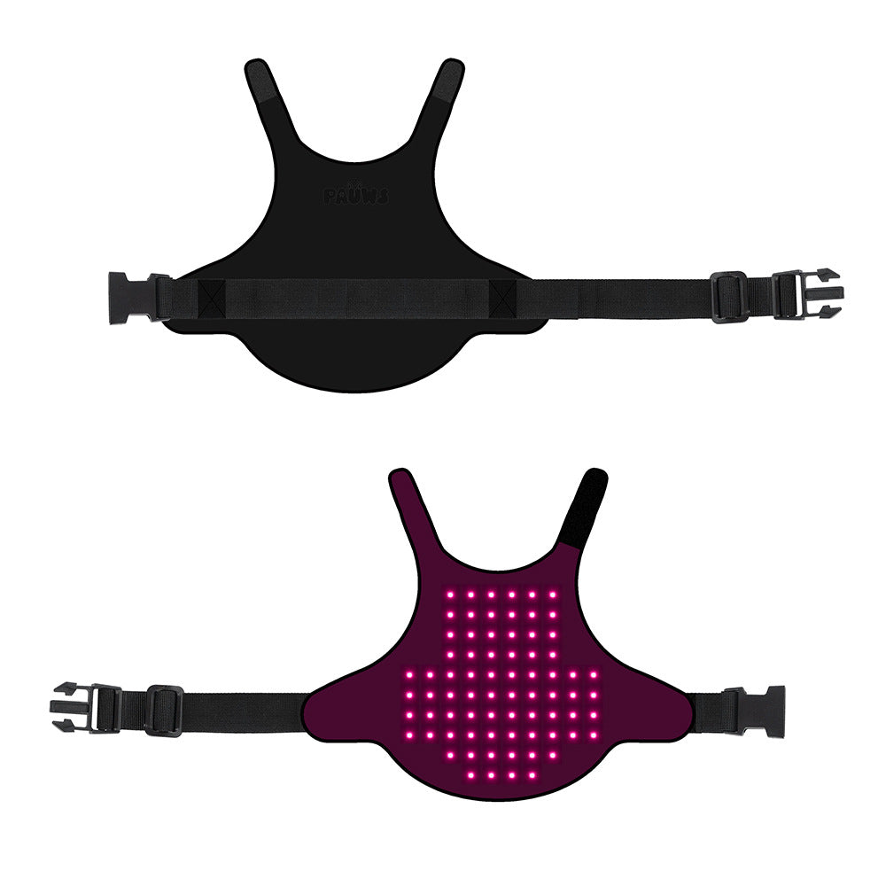 Portable LED Pet Therapy Belt