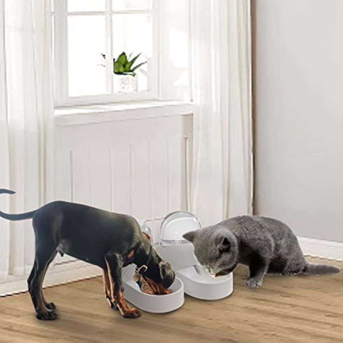 Cat Feeder And Water Dispenser