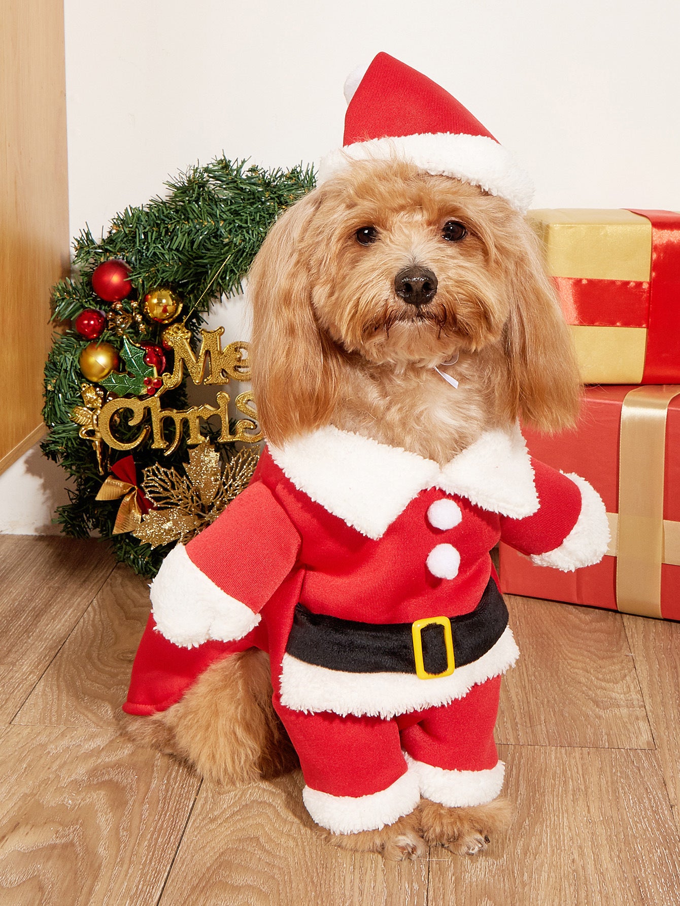 Pet Costume for Christmas
