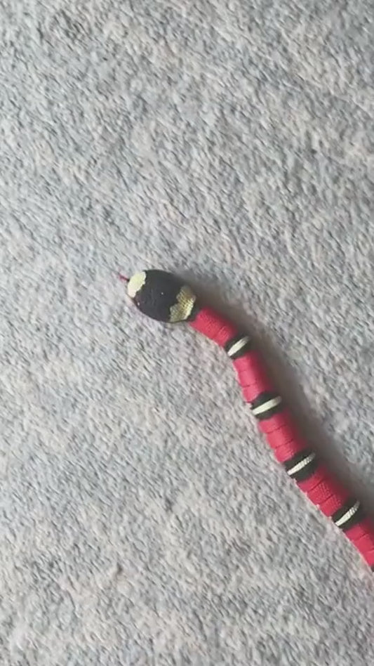 Interactive Electric Induction Snake / Funny Cat Toy