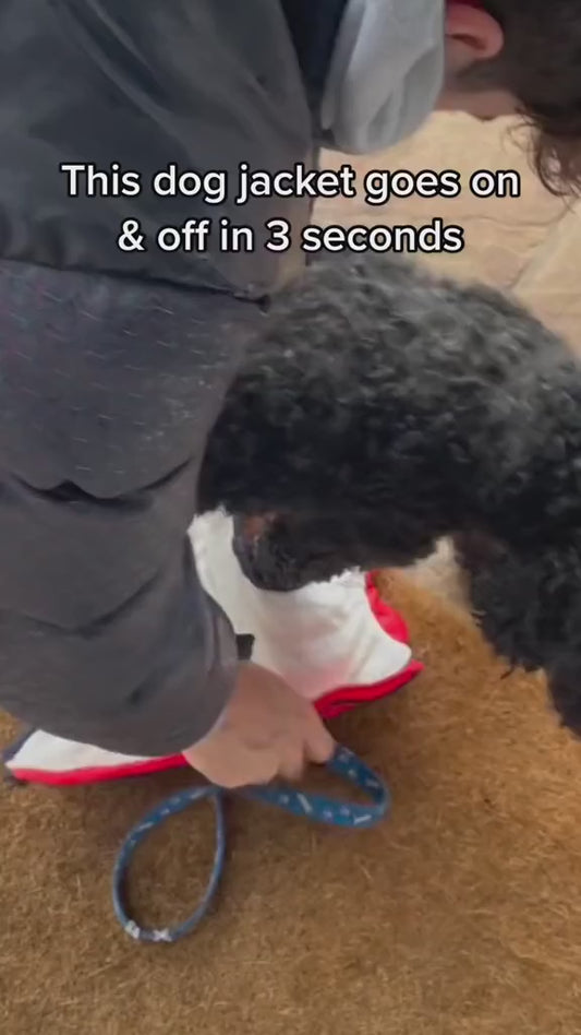 Pet Warm Dog Cotton-padded Clothes